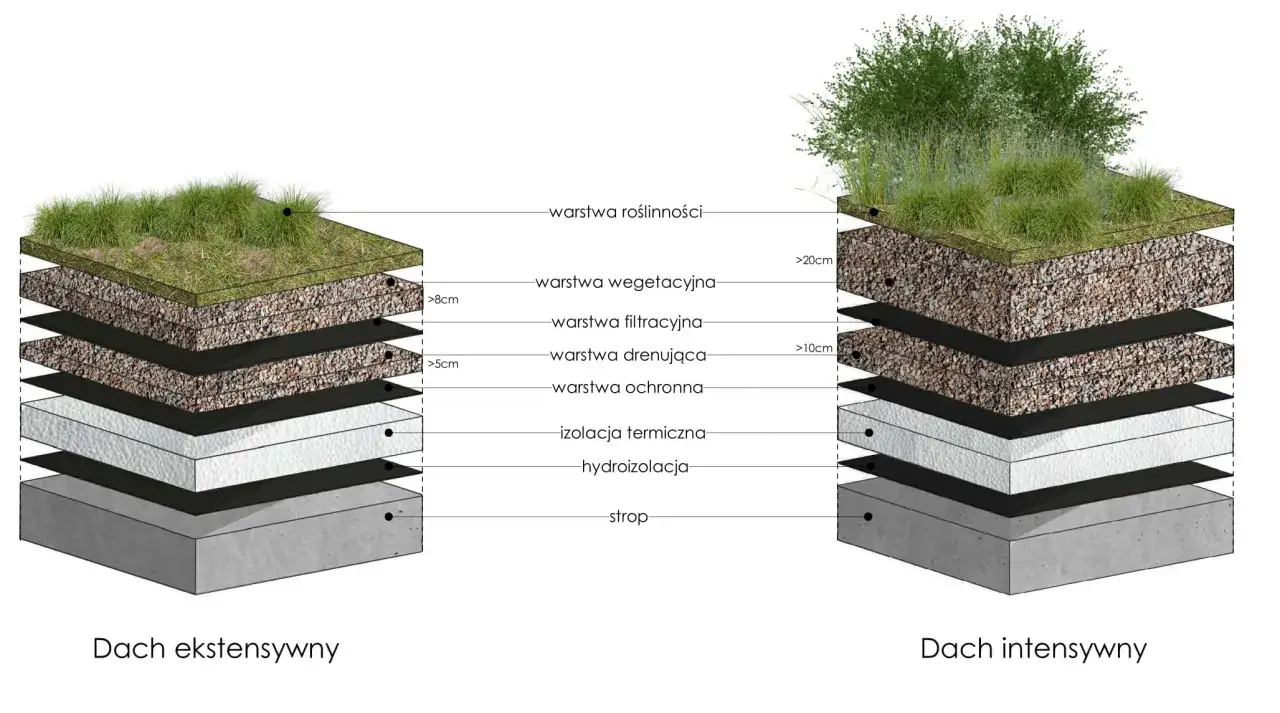 Przekrój dachu zielonego ekstensywnego z warstwami: roślinność, wegetacja, filtracja, drenaż, ochrona, izolacja termiczna, hydroizolacja i strop.